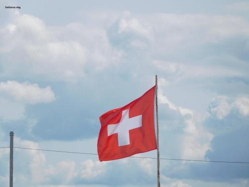 02 Zwitserse vlag